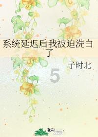 港澳籍仲裁员亮相广州南沙,多维度维护跨境就业青年合法权益
